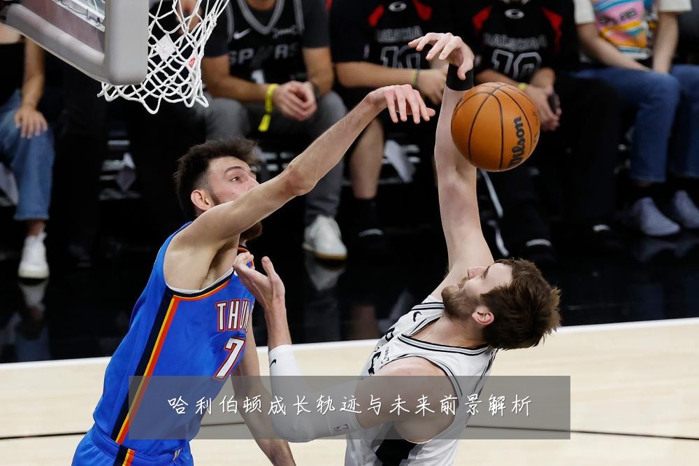 哈利伯顿成长轨迹与未来前景解析
